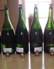 Vieux champagnes