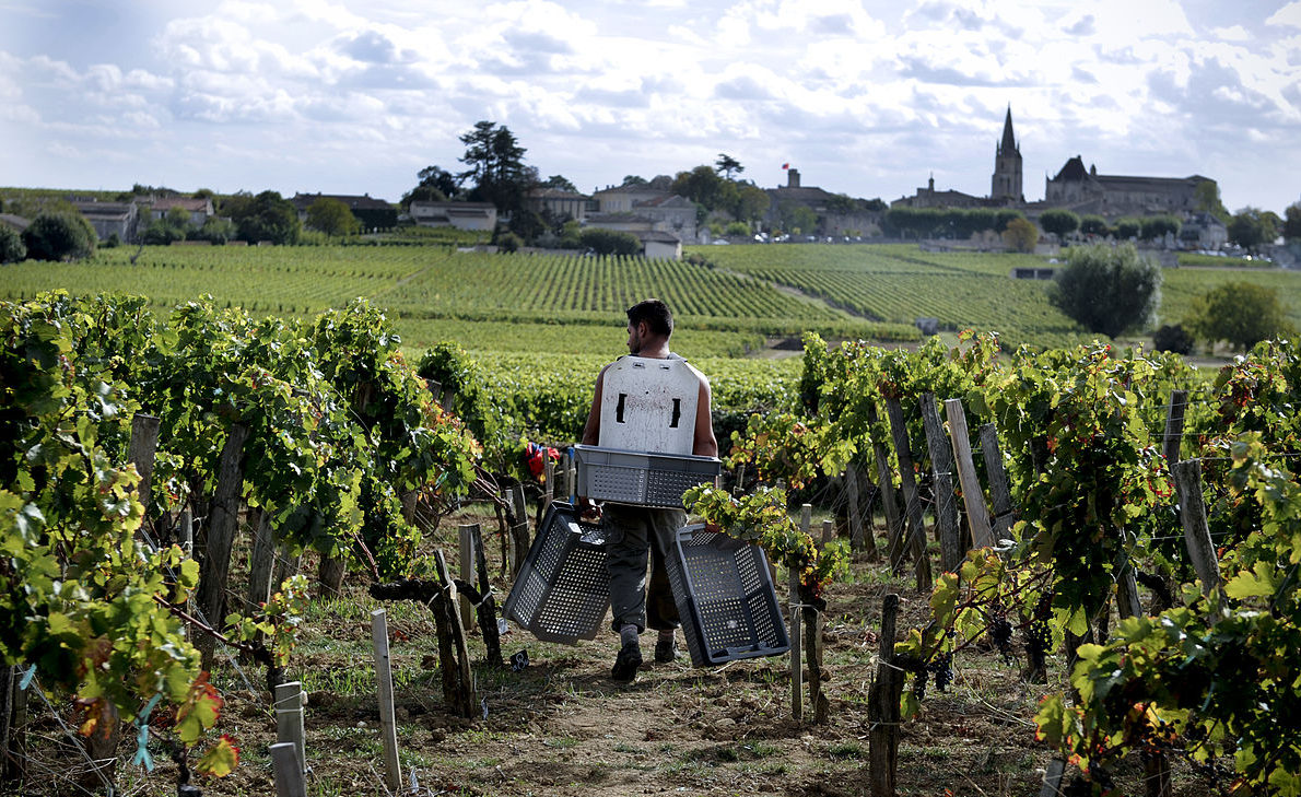 La viticulture en Belgique aujourd’hui, discours de clôture par Fabrizio Bucella